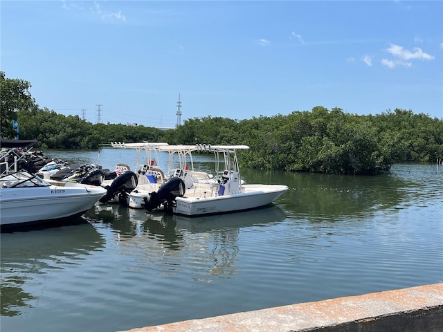 3200 Cove Cay Dr Unit 5F, Clearwater, FL 33760 - dock with a water view