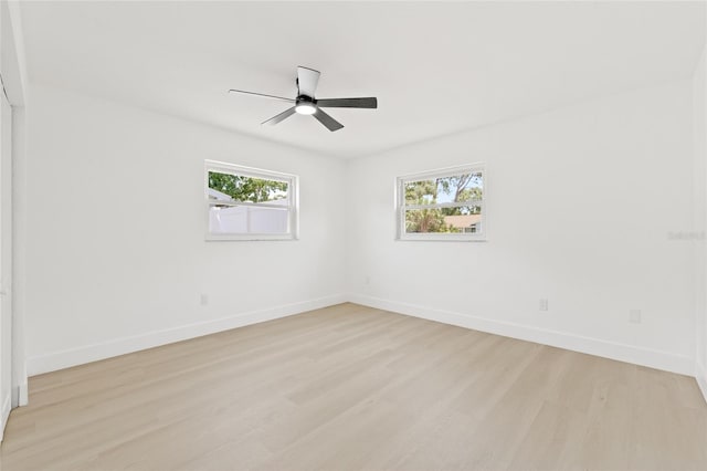 1901 76th Ave N, Saint Petersburg, FL 33702 - photo 24