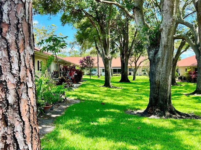 2460 Northside Dr Unit 708, Clearwater, FL 33761 - photo 39