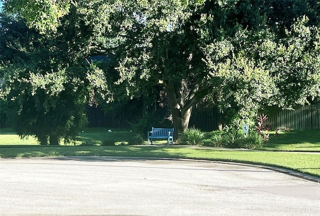 2405 Natures Ct, Valrico, FL 33596 - photo 36