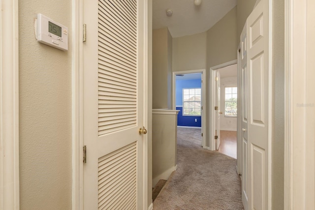 9630 Carlsdale Dr, Riverview, FL 33578 - photo 20