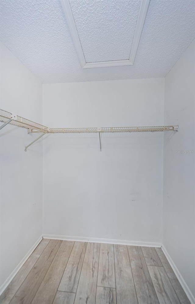 5265 E Bay Dr Unit 521, Clearwater, FL 33764 - walk in closet featuring attic access and wood finished floors