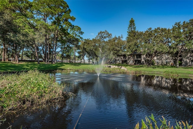 5265 E Bay Dr Unit 521, Clearwater, FL 33764 - water view