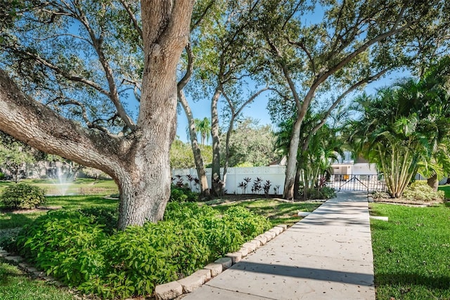 5265 E Bay Dr Unit 521, Clearwater, FL 33764 - surrounding community with a gate