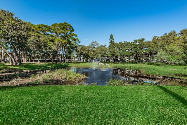 5265 E Bay Dr Unit 521, Clearwater, FL 33764 - water view
