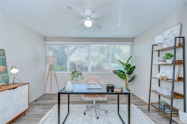 2201 Horan Way S, Gulfport, FL 33707 - home office featuring wood finished floors and ceiling fan