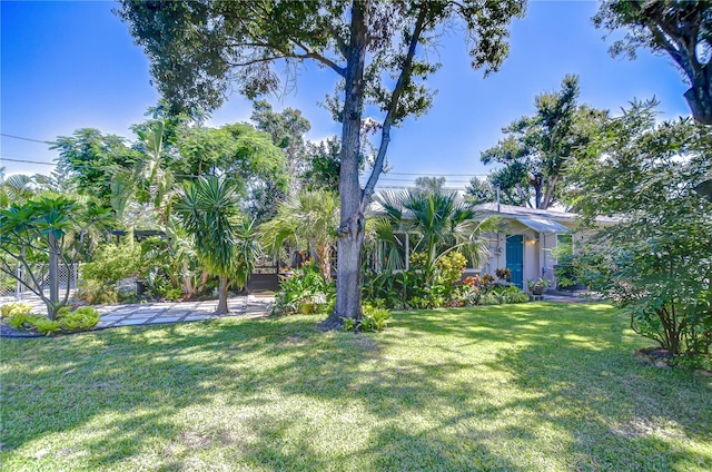 2201 Horan Way S, Gulfport, FL 33707 - view of green lawn