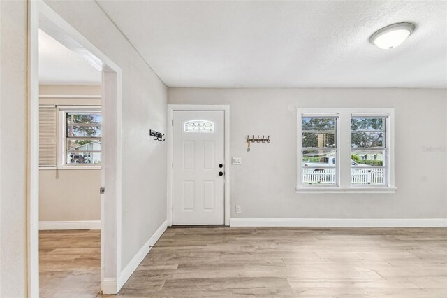 1510 W Powhatan Ave, Tampa, FL 33603 - photo 11