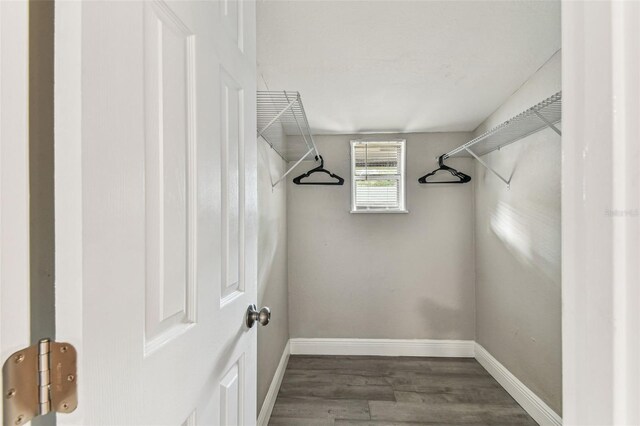 1510 W Powhatan Ave, Tampa, FL 33603 - photo 21