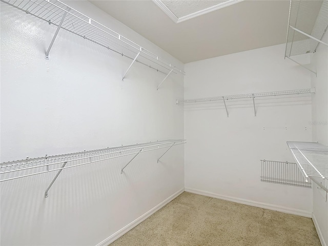 12121 Tree Haven Ave, Gibsonton, FL 33534 - view of spacious closet