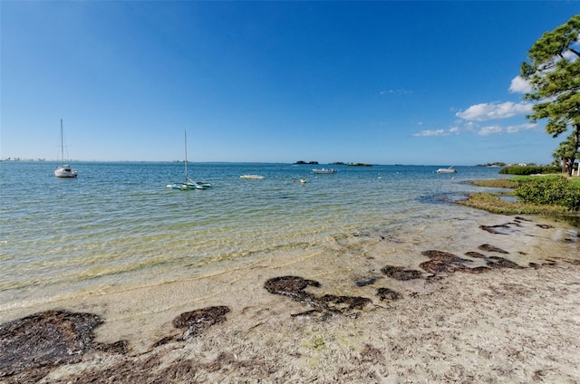 2700 Bayshore Blvd Unit 1206, Dunedin, FL 34698 - water view