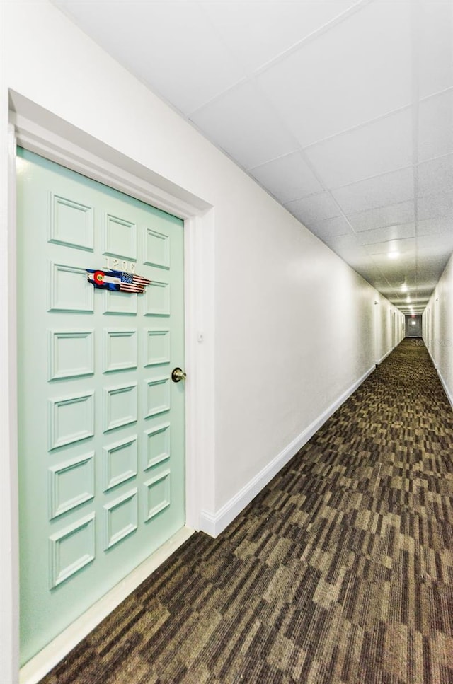 2700 Bayshore Blvd Unit 1206, Dunedin, FL 34698 - property entrance