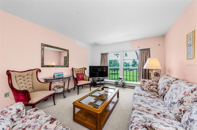 2700 Bayshore Blvd Unit 1206, Dunedin, FL 34698 - living area with carpet floors