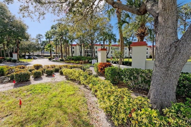 2700 Bayshore Blvd Unit 1206, Dunedin, FL 34698 - view of yard