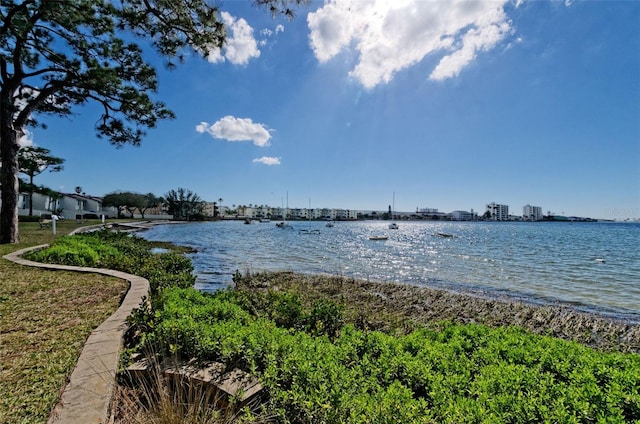 2700 Bayshore Blvd Unit 1206, Dunedin, FL 34698 - water view