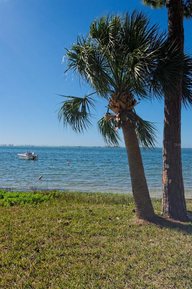 2700 Bayshore Blvd Unit 1206, Dunedin, FL 34698 - water view