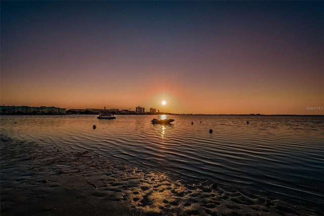 2700 Bayshore Blvd Unit 1206, Dunedin, FL 34698 - water view