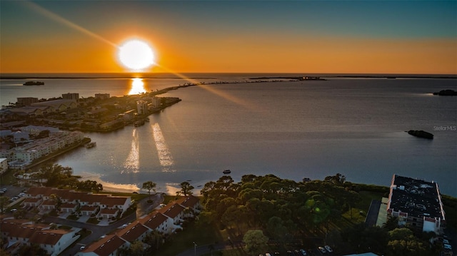 2700 Bayshore Blvd Unit 1206, Dunedin, FL 34698 - water view