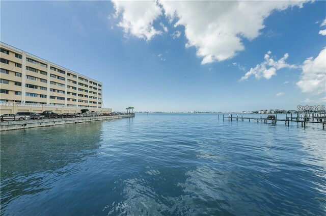 100 Bluff View Dr Unit 308A, Belleair Bluffs, FL 33770 - photo 17