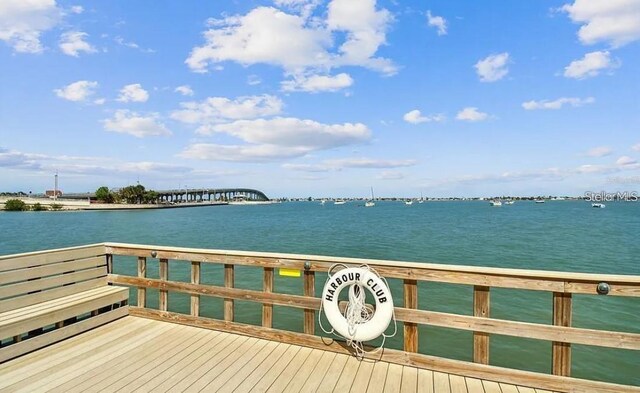 100 Bluff View Dr Unit 308A, Belleair Bluffs, FL 33770 - photo 20