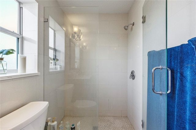 7819 Carriage Pointe Dr, Gibsonton, FL 33534 - bathroom featuring toilet and a stall shower
