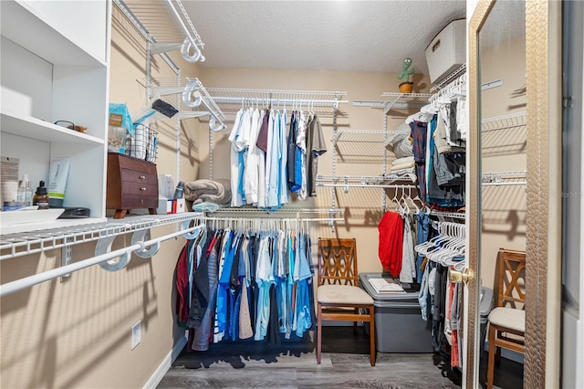7819 Carriage Pointe Dr, Gibsonton, FL 33534 - walk in closet with wood finished floors