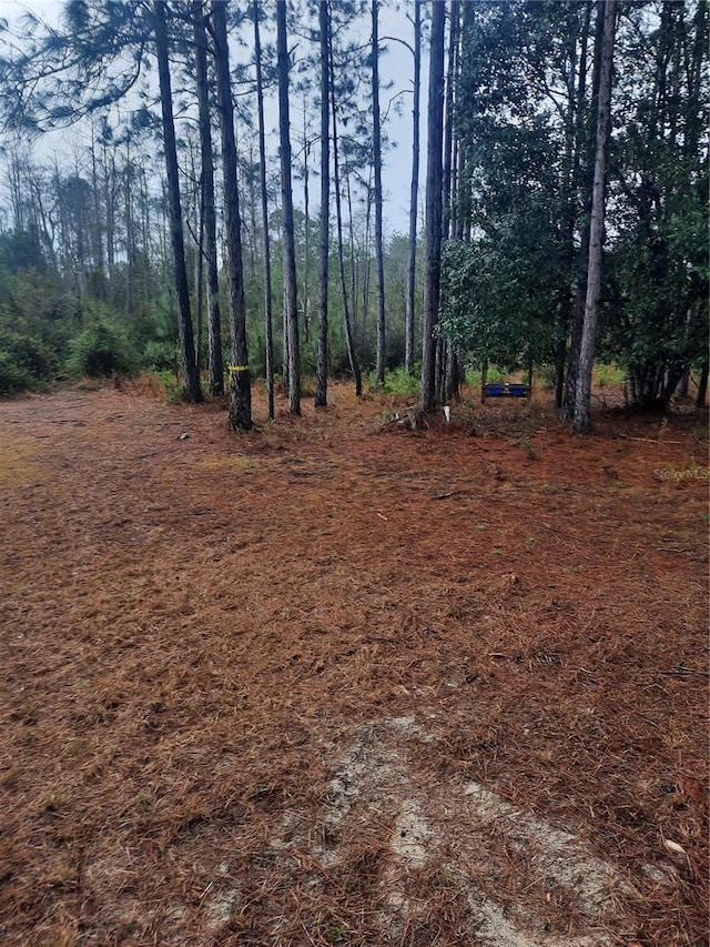 540 SW 326th Ave, Steinhatchee, FL 32359