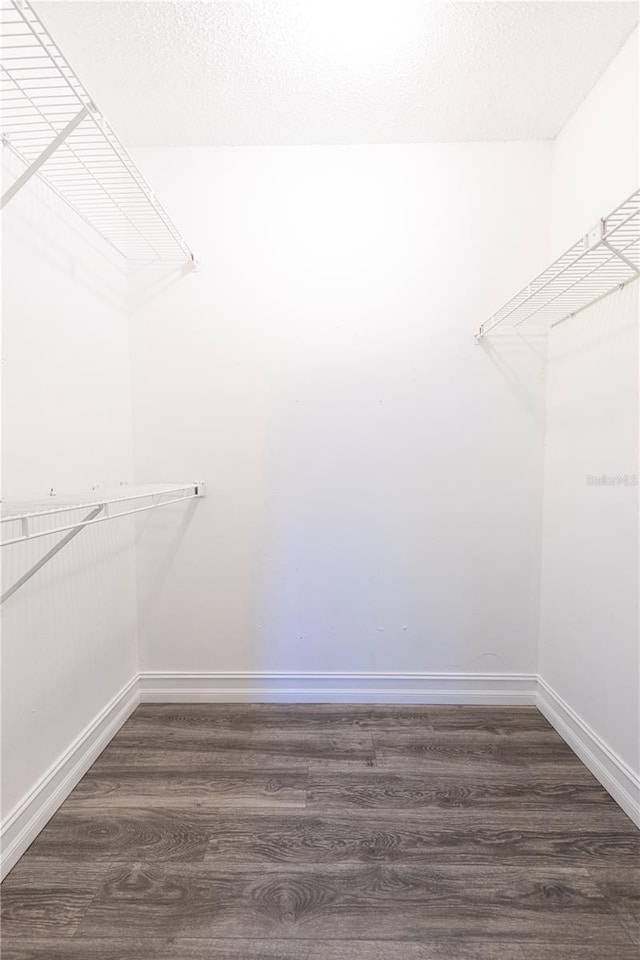 3805 Cortez Cir Unit B, Tampa, FL 33614 - walk in closet with dark wood finished floors