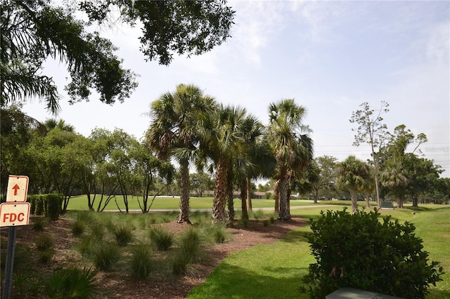 180 Lakeview Way Unit 180, Oldsmar, FL 34677 - photo 2