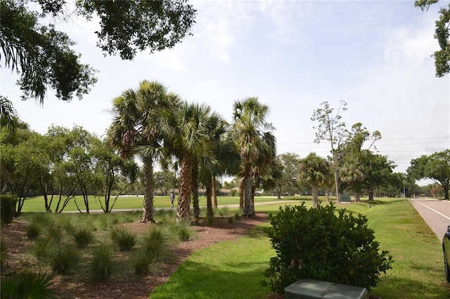 180 Lakeview Way Unit 180, Oldsmar, FL 34677 - photo 3