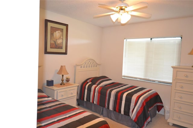 180 Lakeview Way Unit 180, Oldsmar, FL 34677 - photo 12