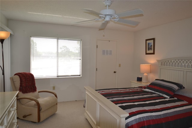 180 Lakeview Way Unit 180, Oldsmar, FL 34677 - photo 26