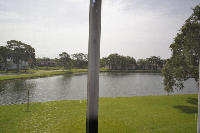 180 Lakeview Way Unit 180, Oldsmar, FL 34677 - photo 29