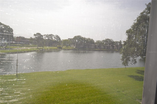 180 Lakeview Way Unit 180, Oldsmar, FL 34677 - photo 30