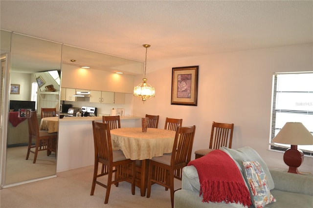 180 Lakeview Way Unit 180, Oldsmar, FL 34677 - photo 37