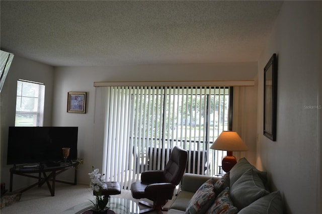 180 Lakeview Way Unit 180, Oldsmar, FL 34677 - photo 39