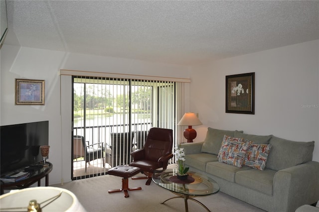 180 Lakeview Way Unit 180, Oldsmar, FL 34677 - photo 42