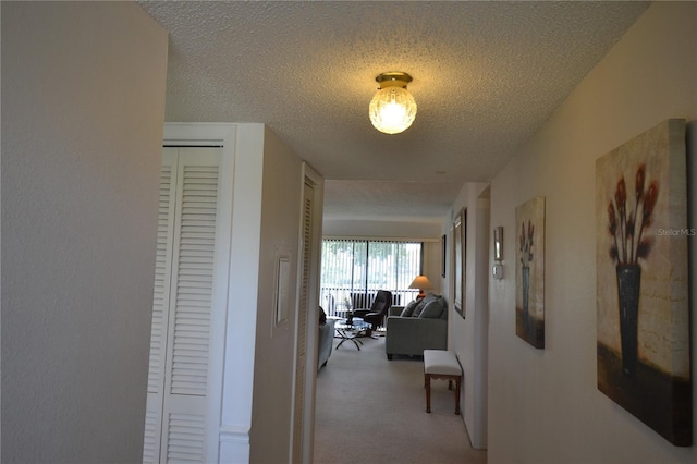 180 Lakeview Way Unit 180, Oldsmar, FL 34677 - photo 60