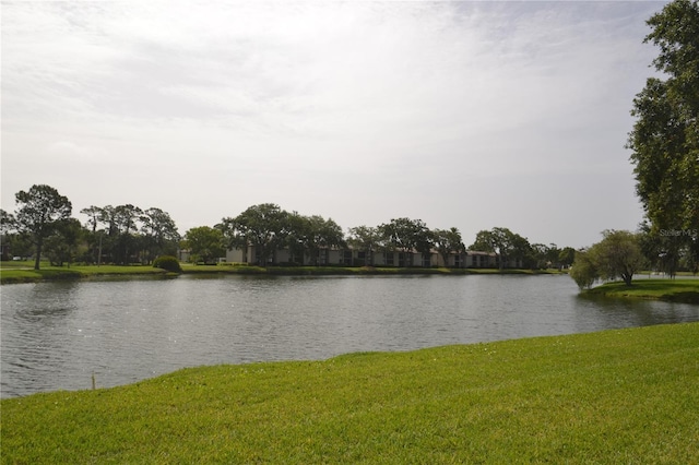 180 Lakeview Way Unit 180, Oldsmar, FL 34677 - photo 62