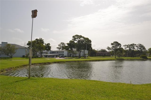 180 Lakeview Way Unit 180, Oldsmar, FL 34677 - photo 64
