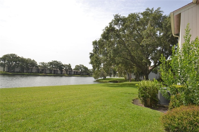 180 Lakeview Way Unit 180, Oldsmar, FL 34677 - photo 67