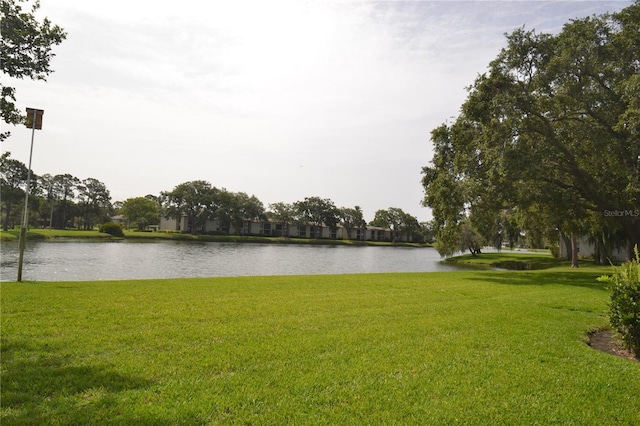 180 Lakeview Way Unit 180, Oldsmar, FL 34677 - photo 68