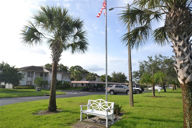 180 Lakeview Way Unit 180, Oldsmar, FL 34677 - photo 88