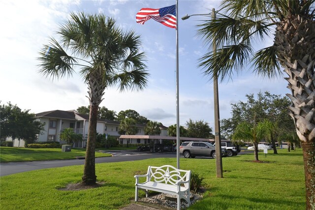 180 Lakeview Way Unit 180, Oldsmar, FL 34677 - photo 89