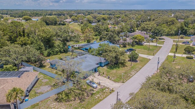 3144 Abeline Rd, Spring Hill, FL 34608 - photo 2