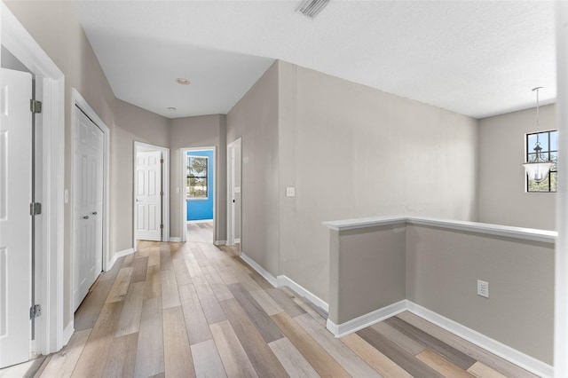 1291 Blackrush Dr, Tarpon Springs, FL 34689 - hall featuring light wood-style floors and healthy amount of natural light
