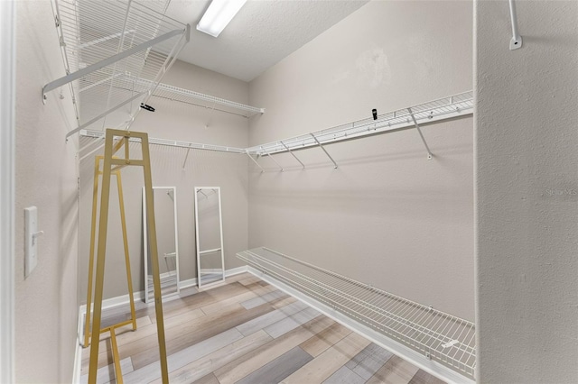1291 Blackrush Dr, Tarpon Springs, FL 34689 - walk in closet featuring wood finished floors