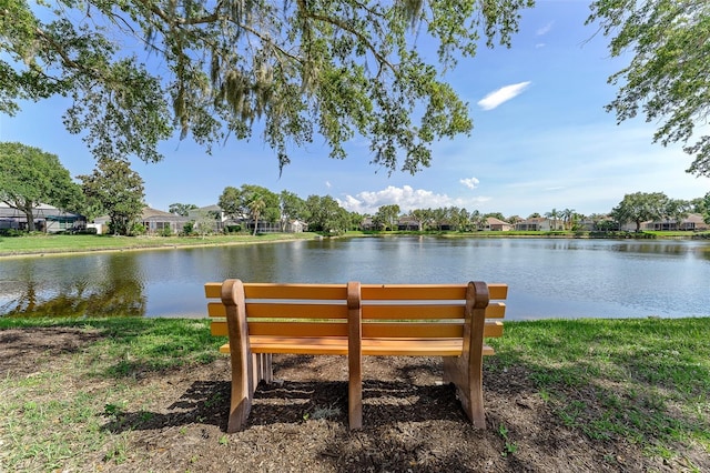 1291 Blackrush Dr, Tarpon Springs, FL 34689 - dock featuring a water view