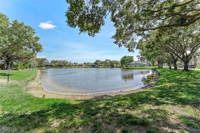 1291 Blackrush Dr, Tarpon Springs, FL 34689 - water view