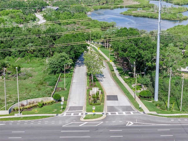 1291 Blackrush Dr, Tarpon Springs, FL 34689 - aerial view of a large body of water and a tree filled landscape